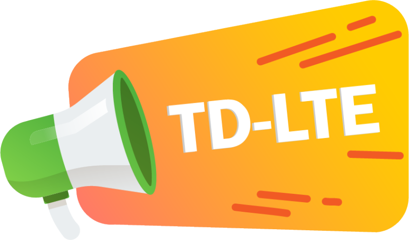TD LTE